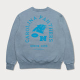 L&amp;L – NFL Classics Panthers – Pull Box '96 gris