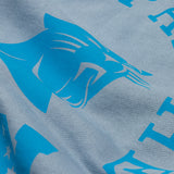 L&amp;L – NFL Classics Panthers – Pull Box '96 gris
