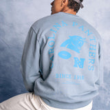 L&amp;L – NFL Classics Panthers – Pull Box '96 gris