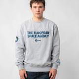 L&L – ESA x Maus Never Stop Exploring – '96 Box Sweater gray